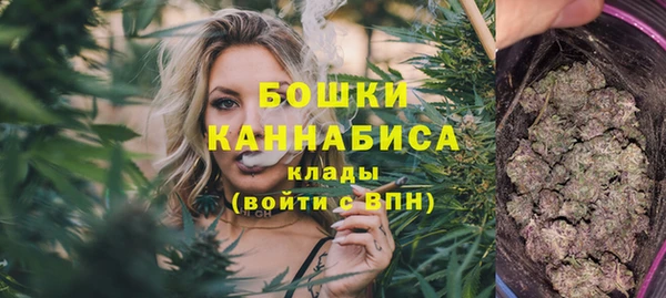 ПСИЛОЦИБИНОВЫЕ ГРИБЫ Арсеньев