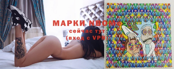 ПСИЛОЦИБИНОВЫЕ ГРИБЫ Арсеньев