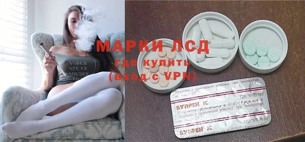 ПСИЛОЦИБИНОВЫЕ ГРИБЫ Арсеньев