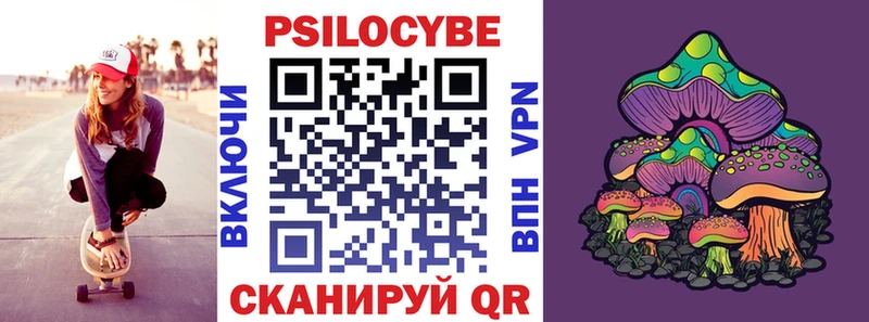 Псилоцибиновые грибы Psilocybe  Асбест 