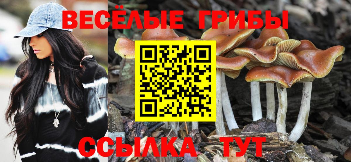 Галлюциногенные грибы мицелий Асбест